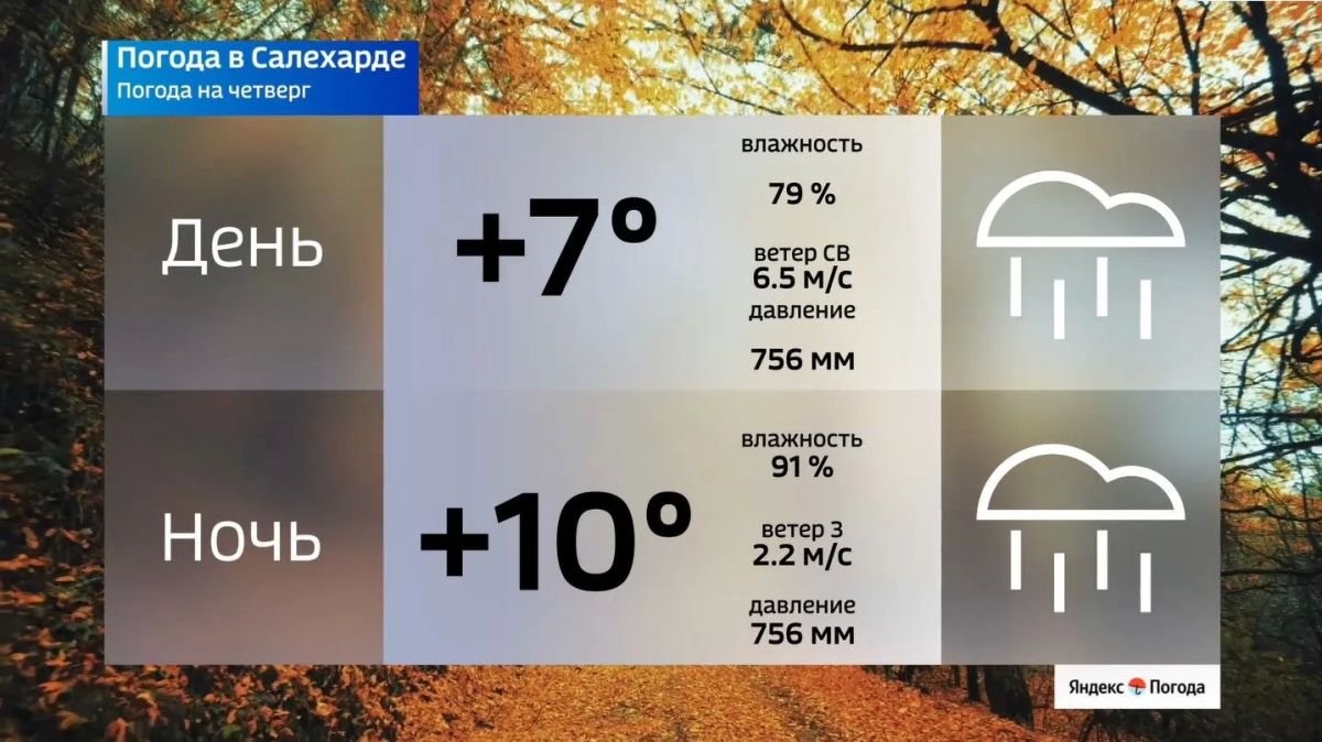 Осень перевернула календарь Осень перевернула календарь