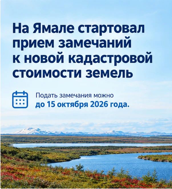 Полезные ссылки и контакты
