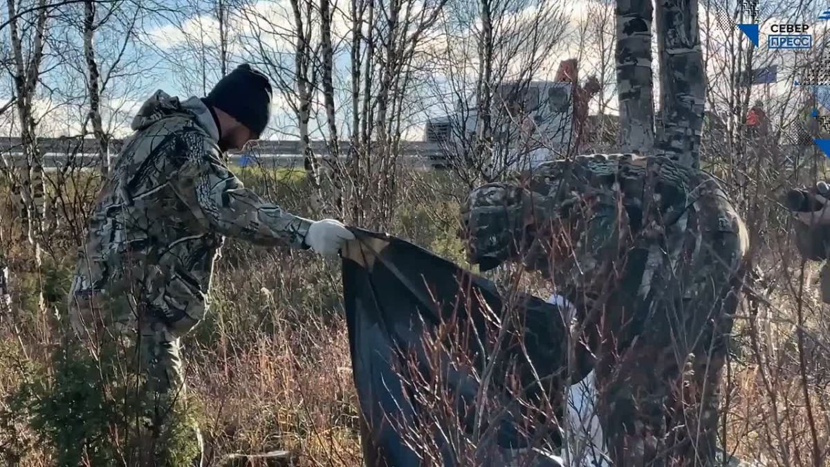 Ямальцы присоединились к общероссийской акции «Чистый лес»