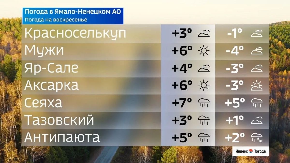 ������ ������ ���������� � �����