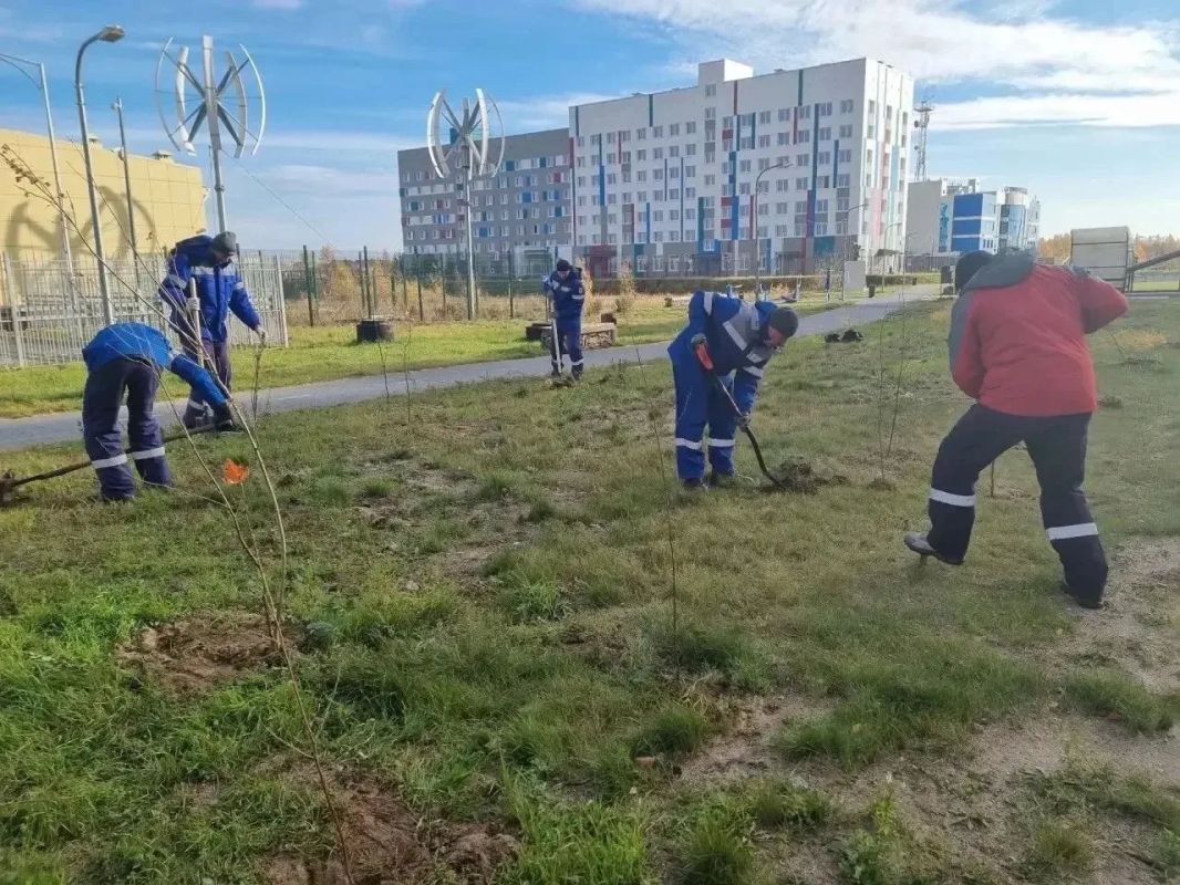 Город становится зеленее!. В рамках акции «Зелёный Новый Уренгой» в разных районах города высадили более 5 тысяч саженцев Город становится зеленее!. В рамках акции «Зелёный Новый Уренгой» в разных районах города высадили более 5 тысяч саженцев