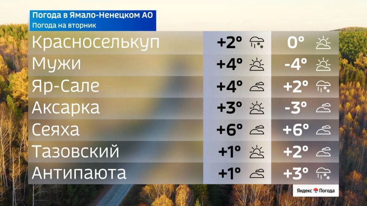 Ямальцев ждет переменчивый вторник Ямальцев ждет переменчивый вторник