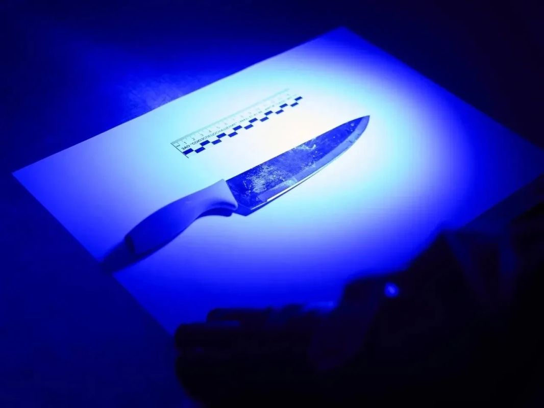 Девушка предотвратила убийство во время пьяной ссоры в Новом Уренгое