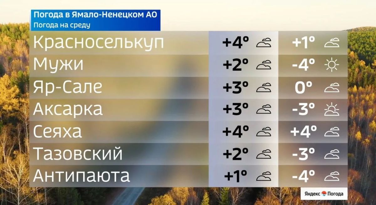 Ямал продолжает остывать. В среду, 7 октября, днём по округу будет до +4 °C, а ночью местами до 4 °C. В Салехарде — +2 °C днём и 2 °C ночью, в Ноябрьске возможны дождь и снег Ямал продолжает остывать. В среду, 7 октября, днём по округу будет до +4 °C, а ночью местами до 4 °C. В Салехарде — +2 °C днём и 2 °C ночью, в Ноябрьске возможны дождь и снег