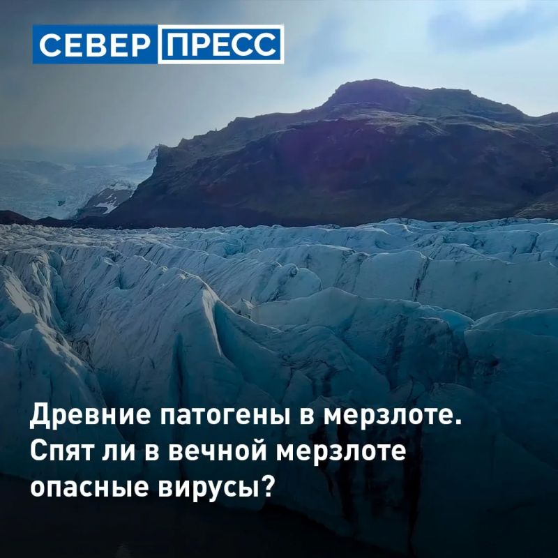 Под вечной мерзлотой на Ямале могут сохраняться опасные древние микроорганизмы, вирусы и бактерии