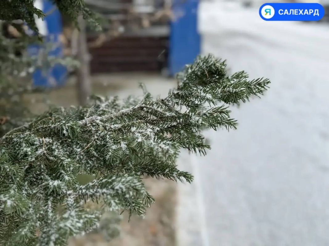 Первый снег в Салехарде: осень уступает зиме