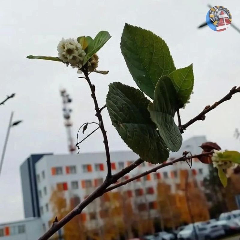 "Природа явно что-то перепутала "Природа явно что-то перепутала