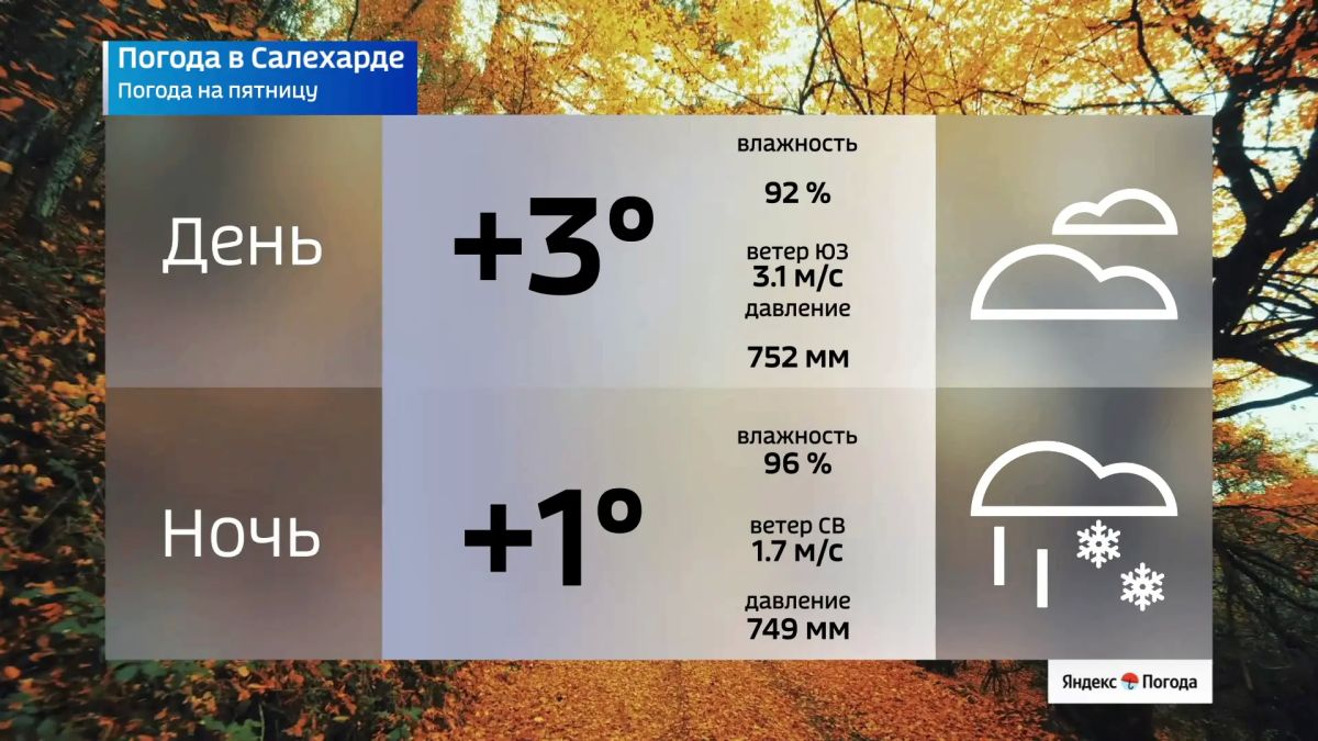 Заморозки и мокрый снег идут на Ямал Заморозки и мокрый снег идут на Ямал