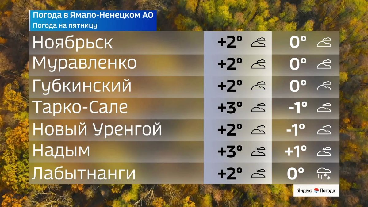 Заморозки и мокрый снег идут на Ямал