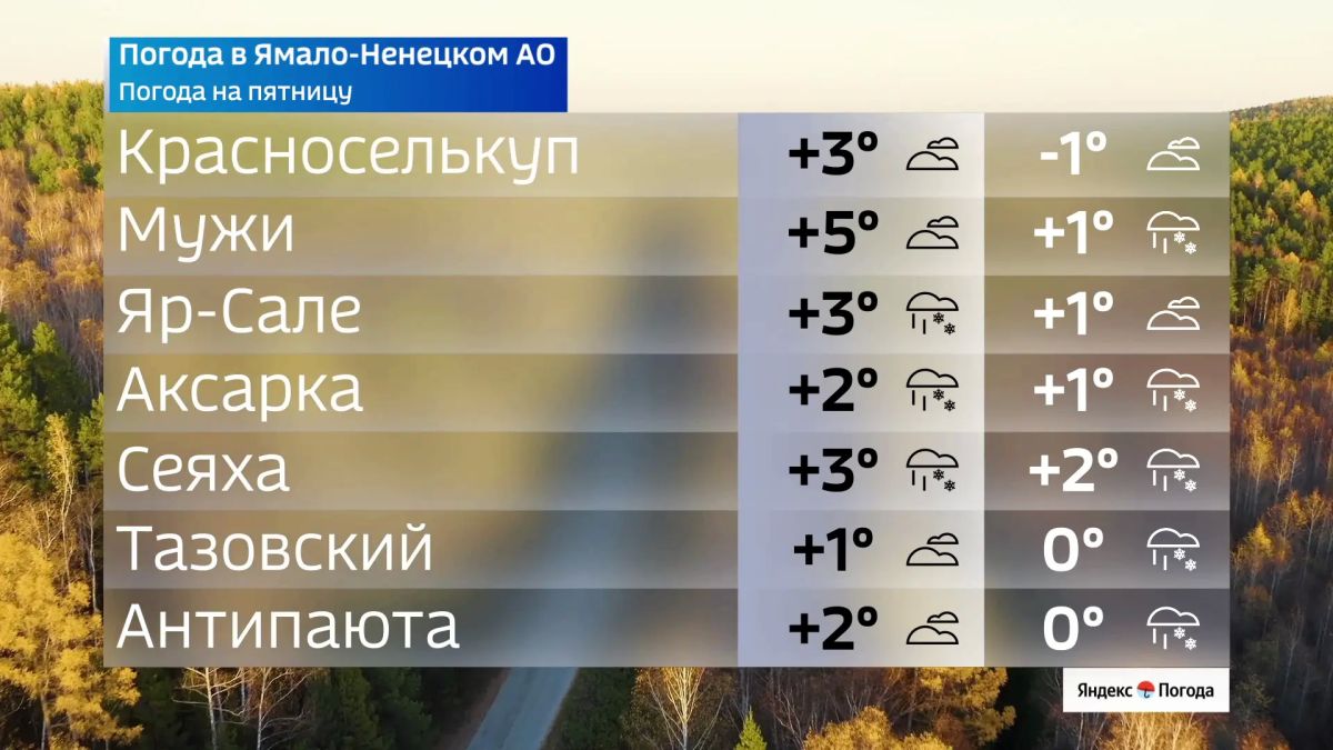 Заморозки и мокрый снег идут на Ямал Заморозки и мокрый снег идут на Ямал