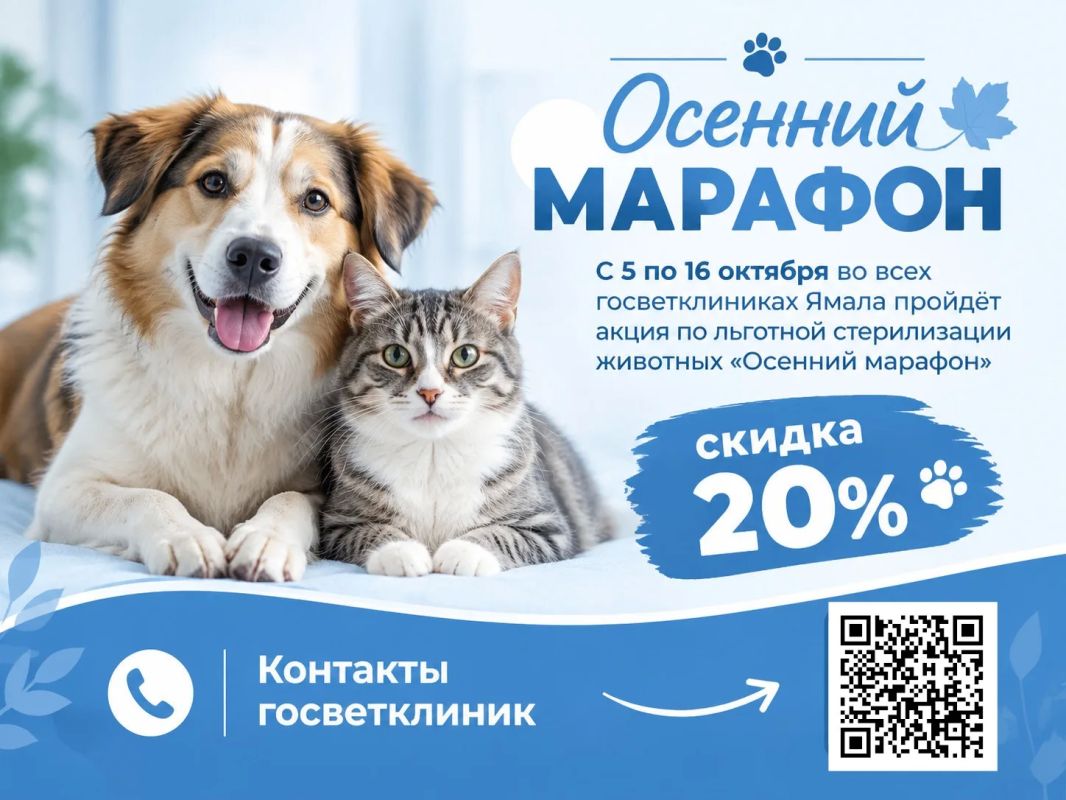 Хотим напомнить. Сегодня - старт льготной стерилизации во всех госветклиниках Ямала