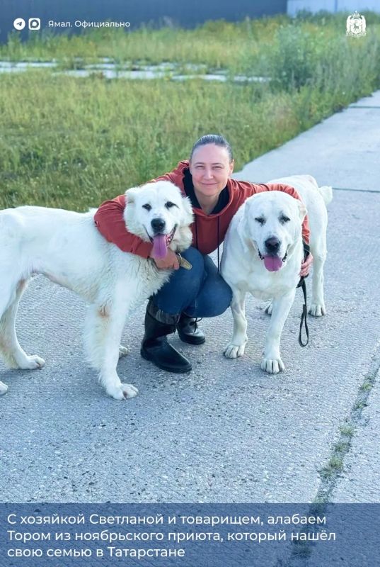 Доска объявлений. Раздел: нашёл друга — 2 Доска объявлений. Раздел: нашёл друга — 2