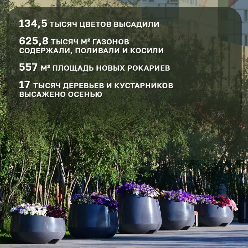 Цветы, парки и чистые берега: итоги благоустройства Цветы, парки и чистые берега: итоги благоустройства