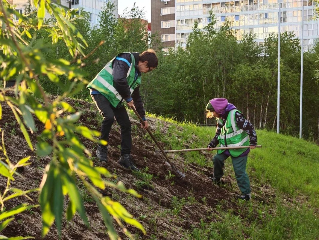 Цветы, парки и чистые берега: итоги благоустройства Цветы, парки и чистые берега: итоги благоустройства