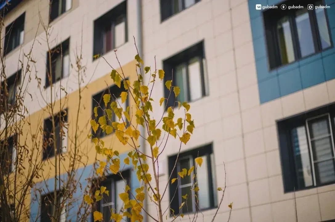 В Губкинском высадят около тысячи деревьев и кустарников В Губкинском высадят около тысячи деревьев и кустарников