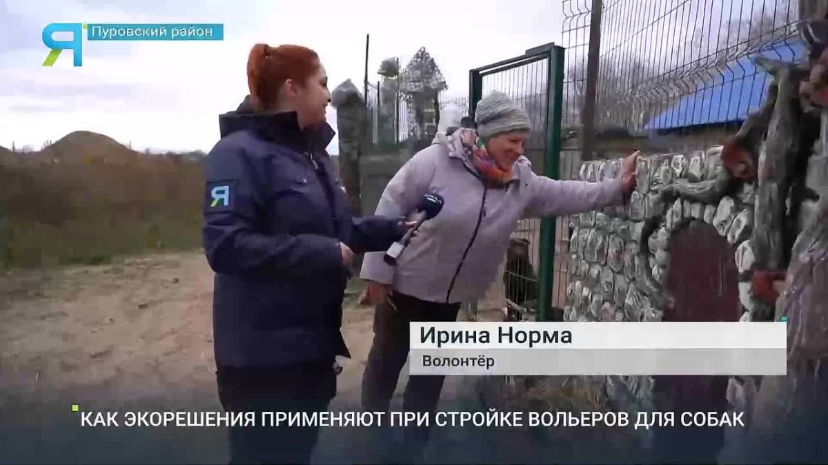 В Пуровском районе мусор превращают в полезные вещи для собак