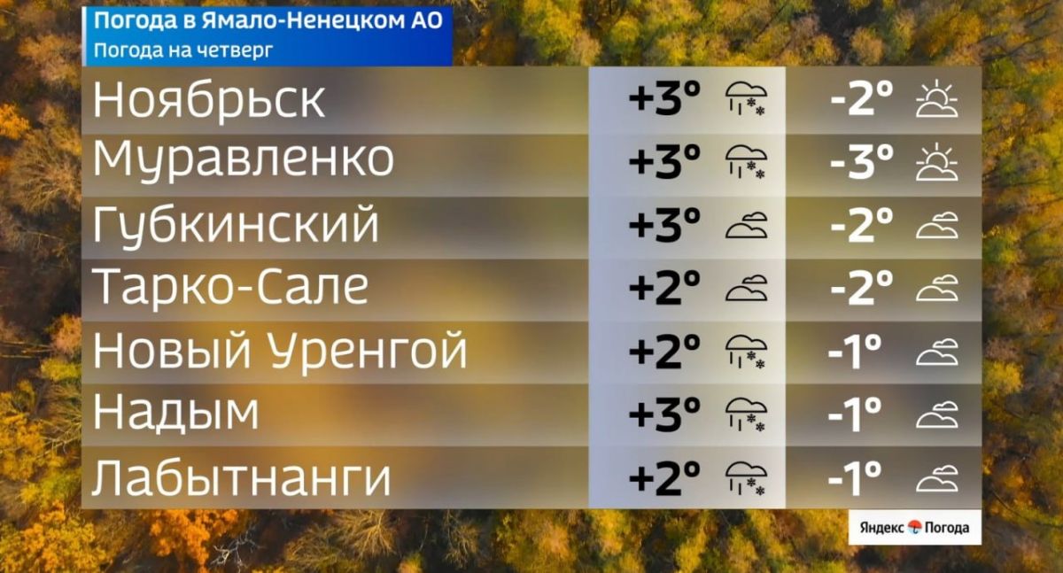 Ямал накроет волна мокрого снега