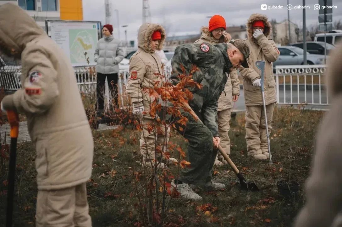 В Губкинском высадят около тысячи деревьев и кустарников В Губкинском высадят около тысячи деревьев и кустарников