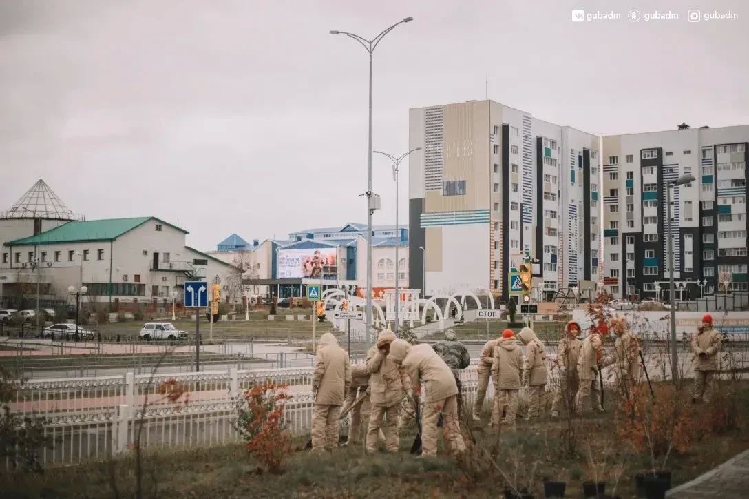 В Губкинском высадят около тысячи деревьев и кустарников В Губкинском высадят около тысячи деревьев и кустарников