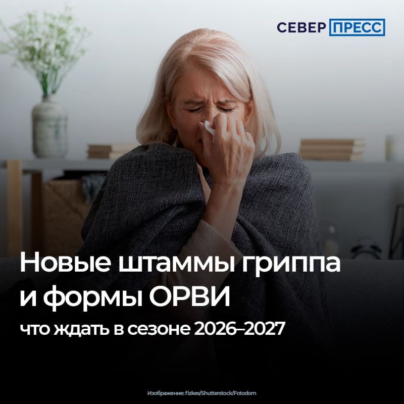 В России начался осенний сезон высокой заболеваемости гриппом и другими видами ОРВИ