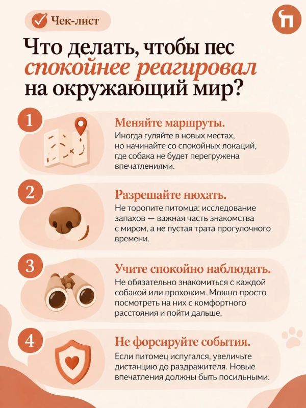 Ваша собака работает домашней сигнализацией?
