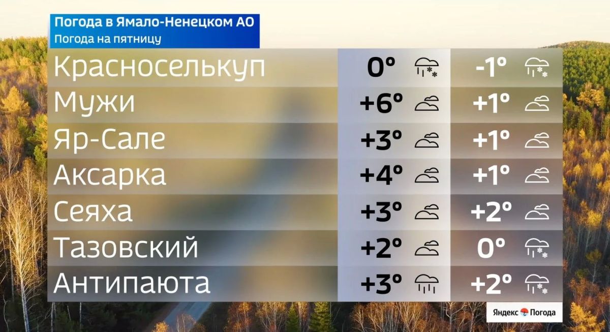 Мокрый снег всё ближе: погода на Ямале 16 октября Мокрый снег всё ближе: погода на Ямале 16 октября