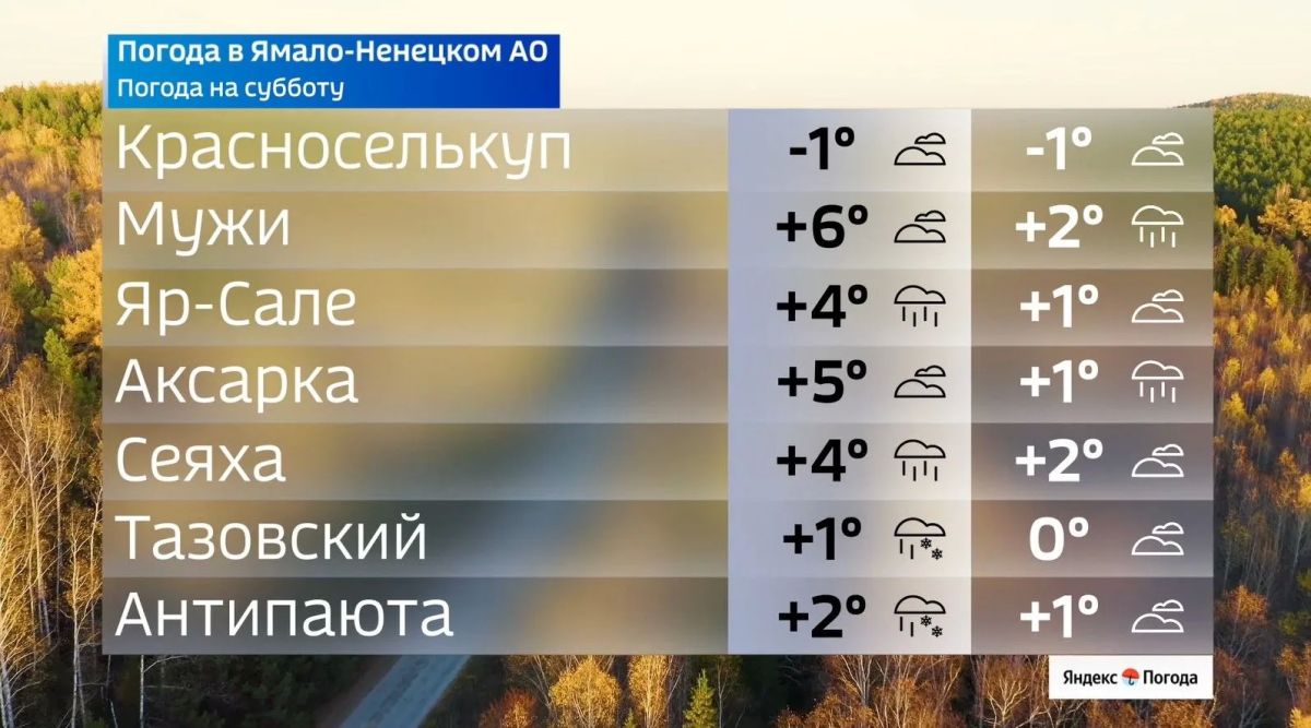 Осень на Ямале готовит дождливую субботу Осень на Ямале готовит дождливую субботу