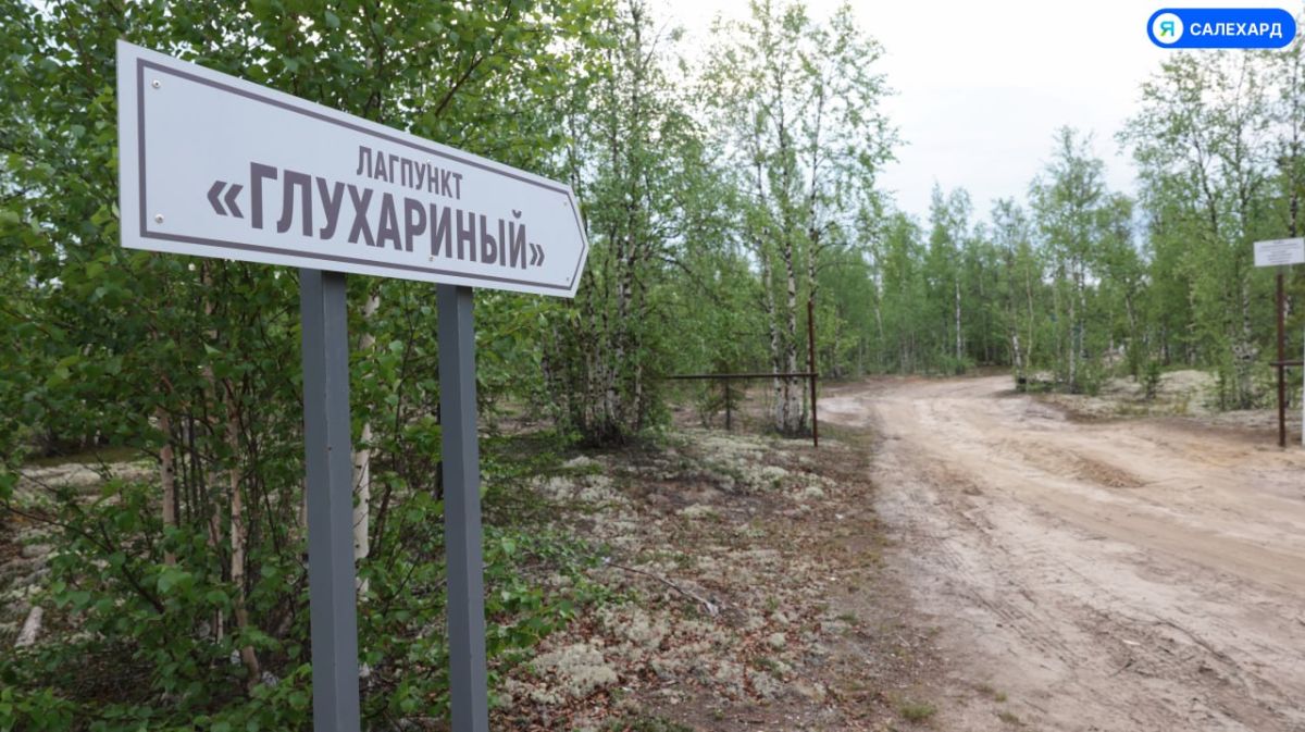 Школьники Ямала хотят восстановить родник на трассе Надым — Салехард