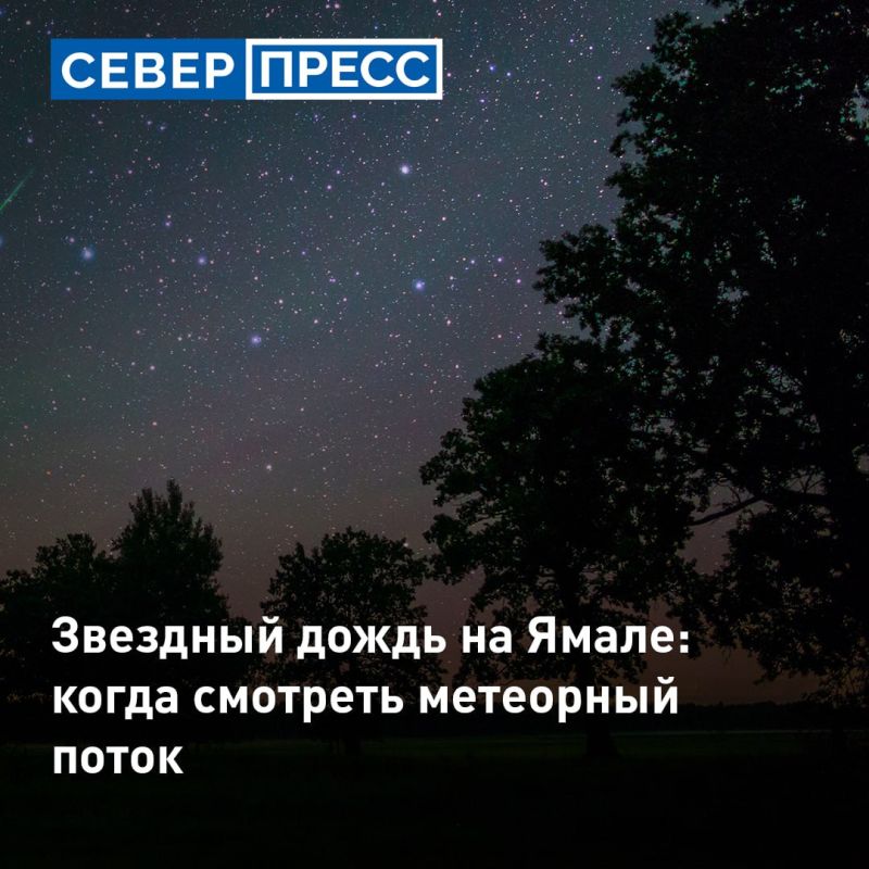 Жители Ямала смогут увидеть мощный звездопад
