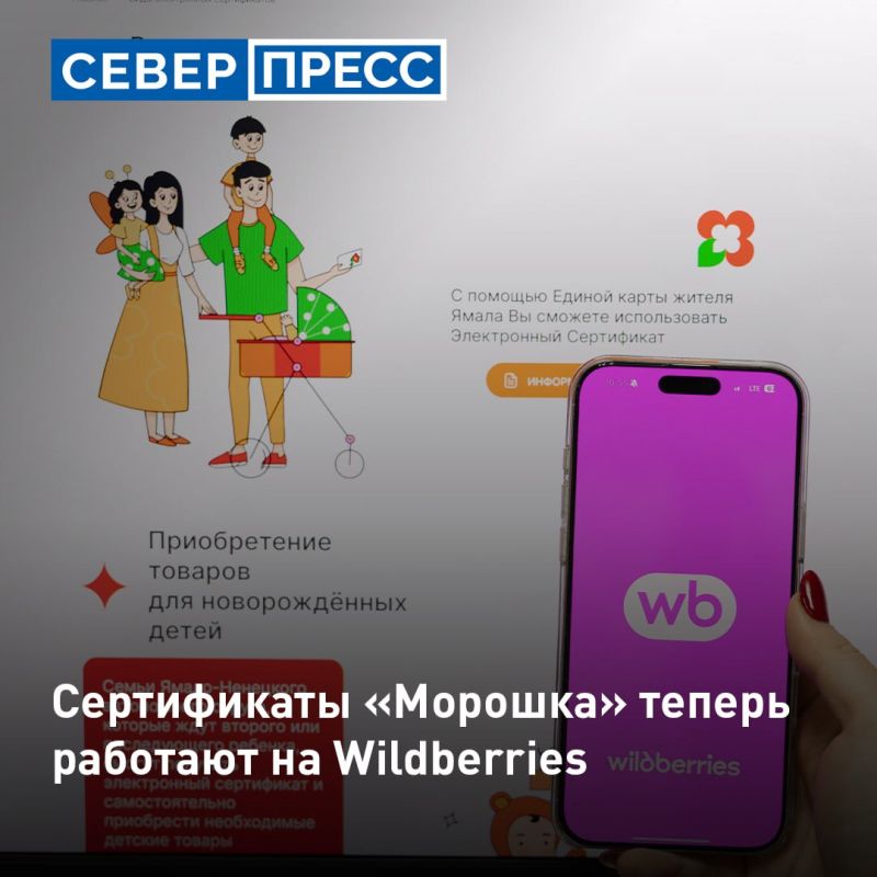 К электронным сертификатам «Морошка» подключился новый партнер — Wildberries