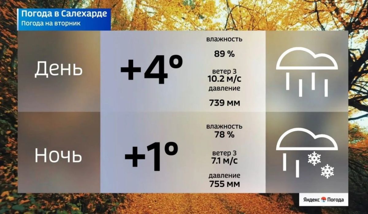 20 октября принесёт на Ямал похолодание 20 октября принесёт на Ямал похолодание