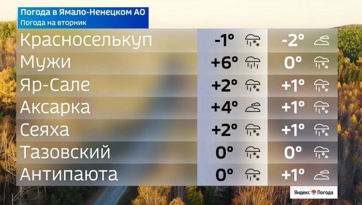 20 октября принесёт на Ямал похолодание 20 октября принесёт на Ямал похолодание