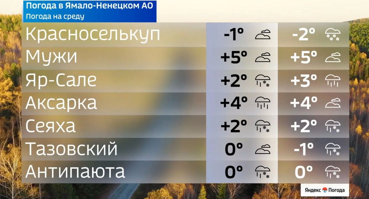 21 октября на Ямале ожидается прохладная и облачная погода 21 октября на Ямале ожидается прохладная и облачная погода