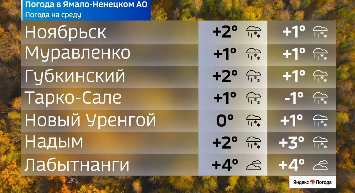 21 октября на Ямале ожидается прохладная и облачная погода