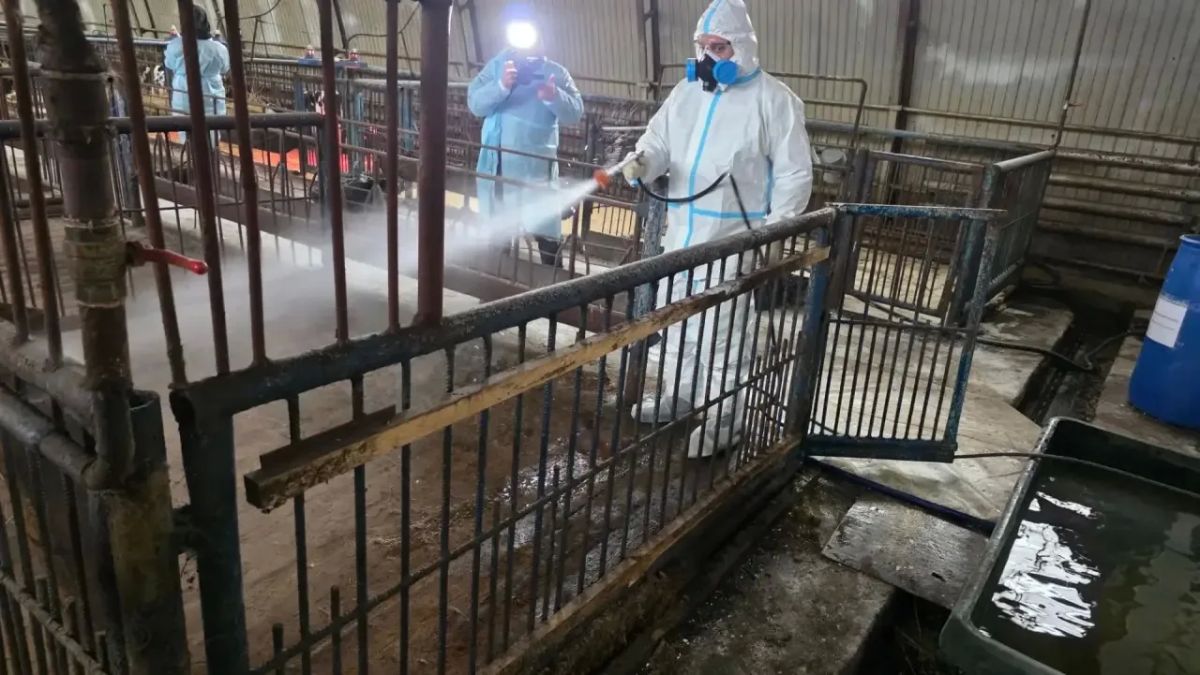 Пока мы спокойно доживаем четверг Пока мы спокойно доживаем четверг