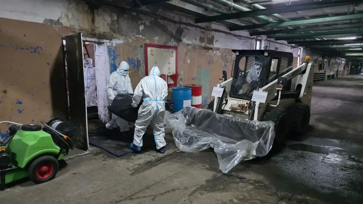 Пока мы спокойно доживаем четверг Пока мы спокойно доживаем четверг