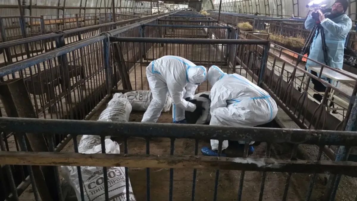 Пока мы спокойно доживаем четверг Пока мы спокойно доживаем четверг