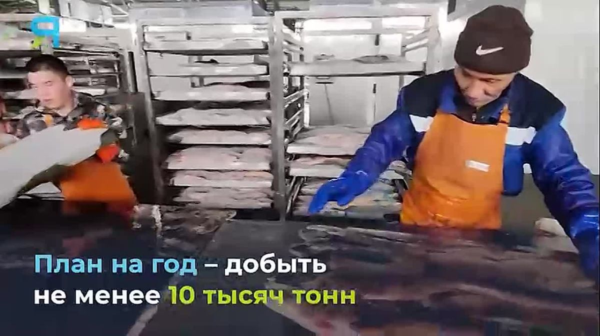 Новостной дайджест на «Ямал-Медиа»