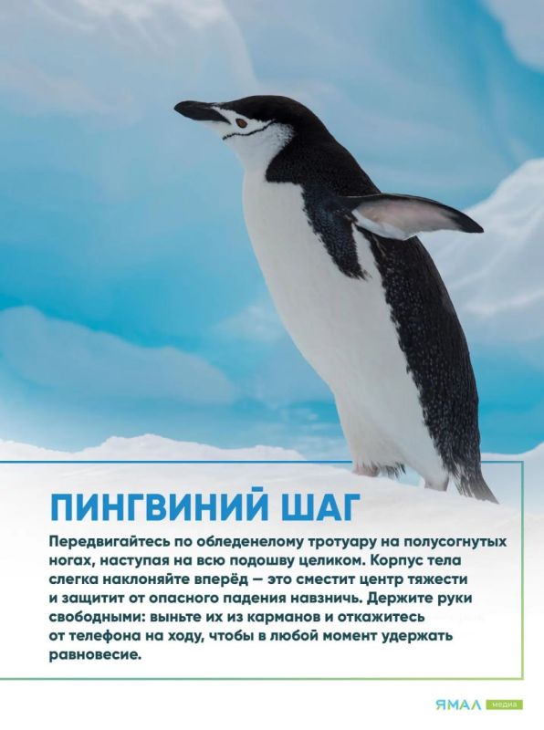 Холода близко, но мы уже готовы! Холода близко, но мы уже готовы!