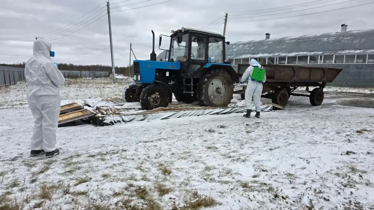 Пока мы спокойно доживаем четверг Пока мы спокойно доживаем четверг