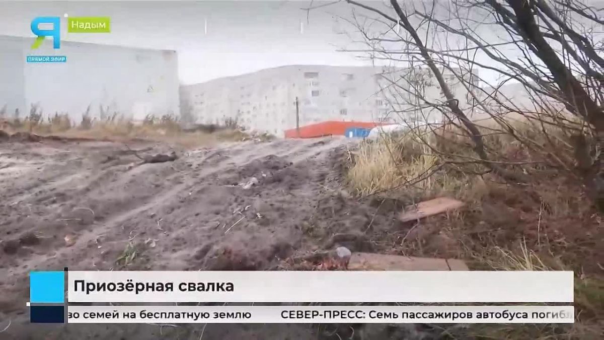 В Надыме ищут виновника свалки строительного мусора на берегу озера