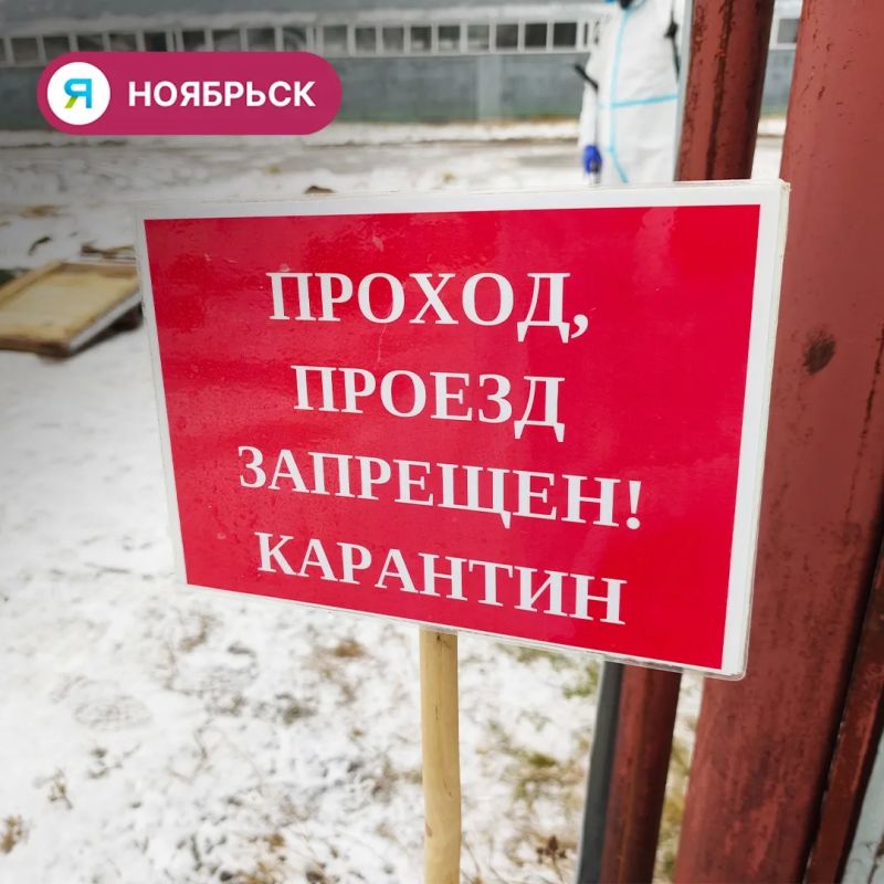 В Ноябрьске прошли учения по ликвидации сибирской язвы В Ноябрьске прошли учения по ликвидации сибирской язвы