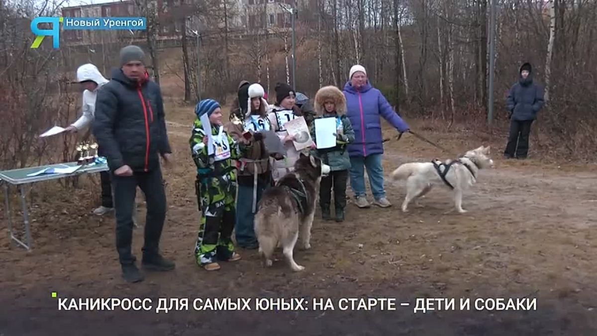 Когда твой напарник по бегу — хаски