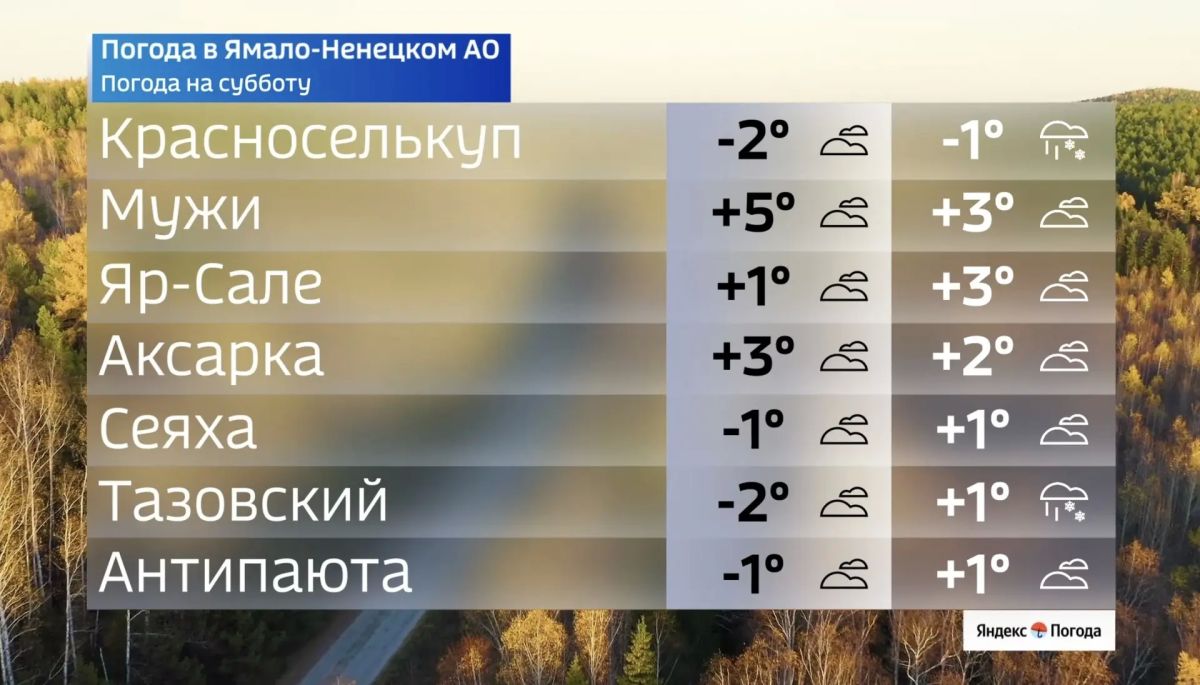 Октябрьская погода не спешит уступать зиме Октябрьская погода не спешит уступать зиме