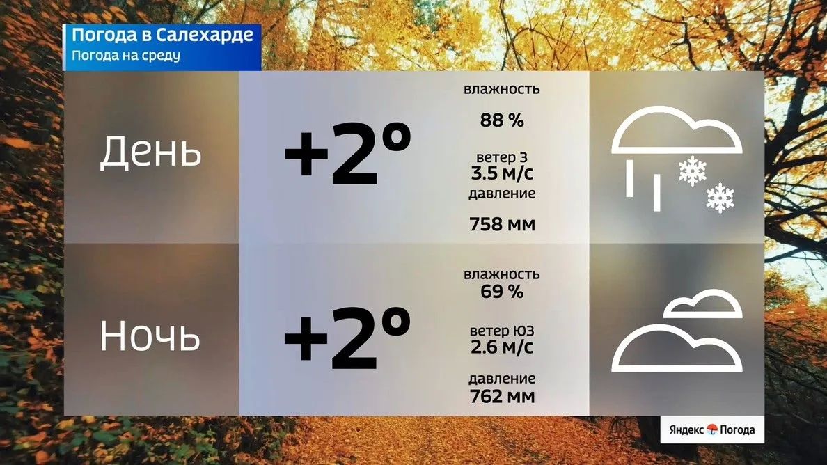 Ямал накрывают первые серьёзные морозы Ямал накрывают первые серьёзные морозы