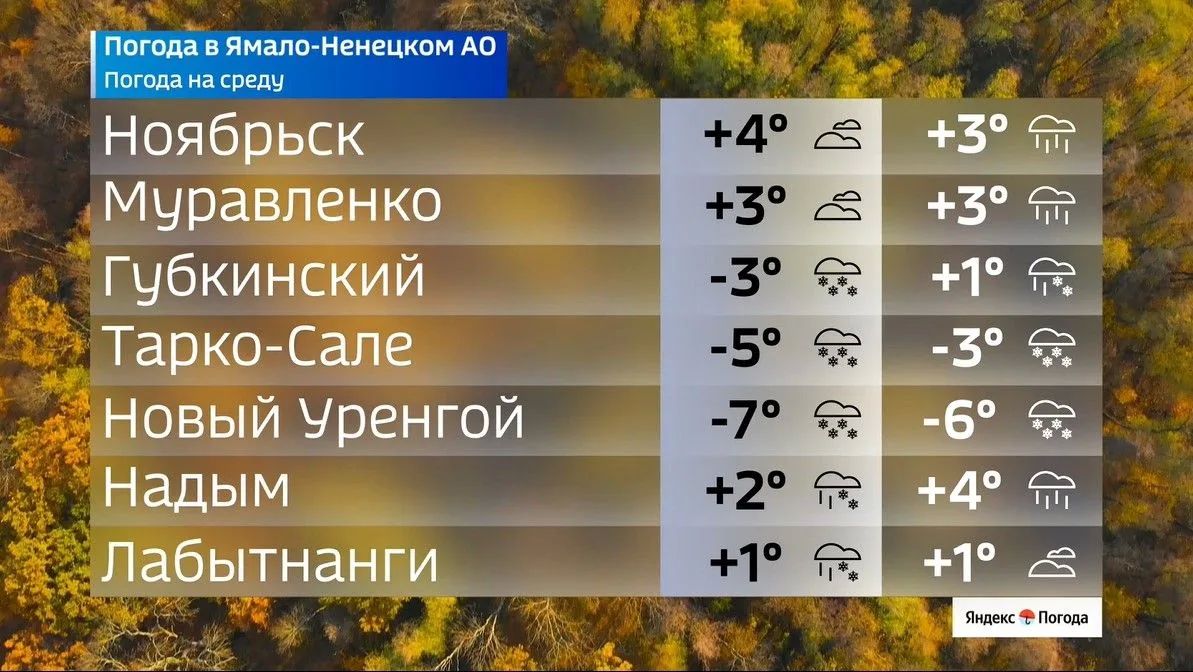Ямал накрывают первые серьёзные морозы