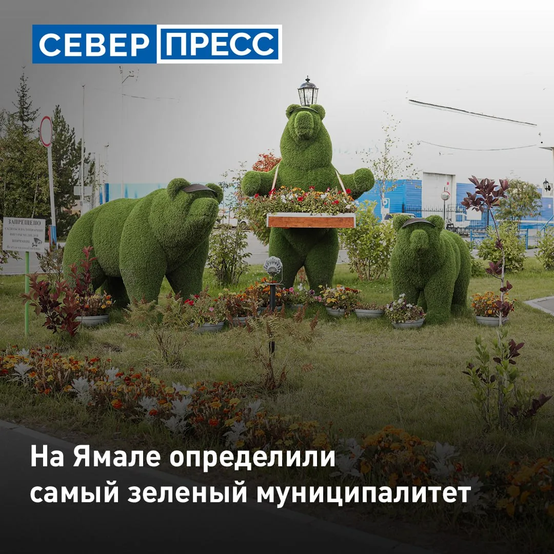 Самым зеленым муниципалитетом на Ямале стал Новый Уренгой