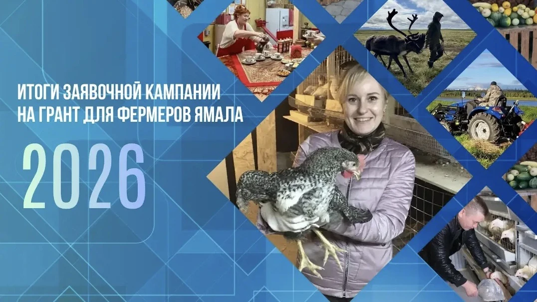 В Красноселькупе появится новый цех по переработке мяса птицы — развивать хозяйство поможет грант