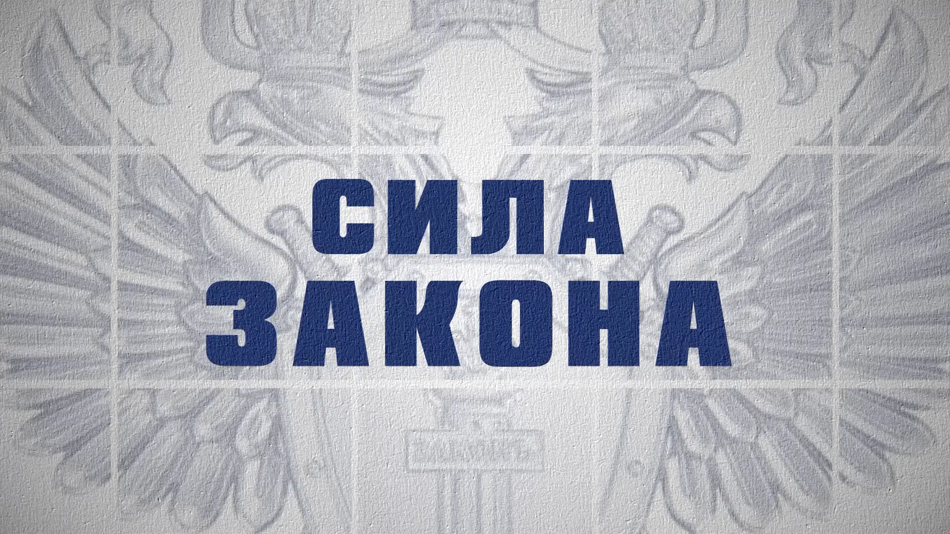В эфире телеканала «Россия 24» новый выпуск программы «Сила закона»