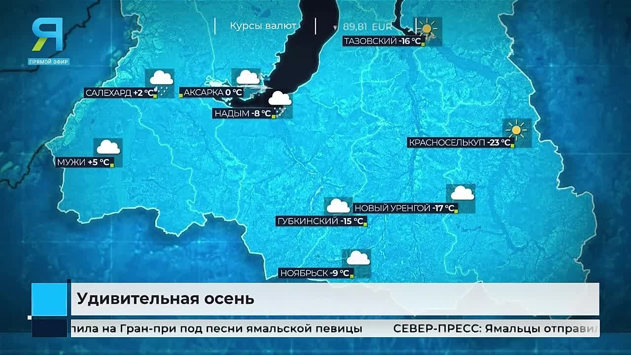 Аномально тёплый октябрь сдался: Надым наконец-то засыпало снегом
